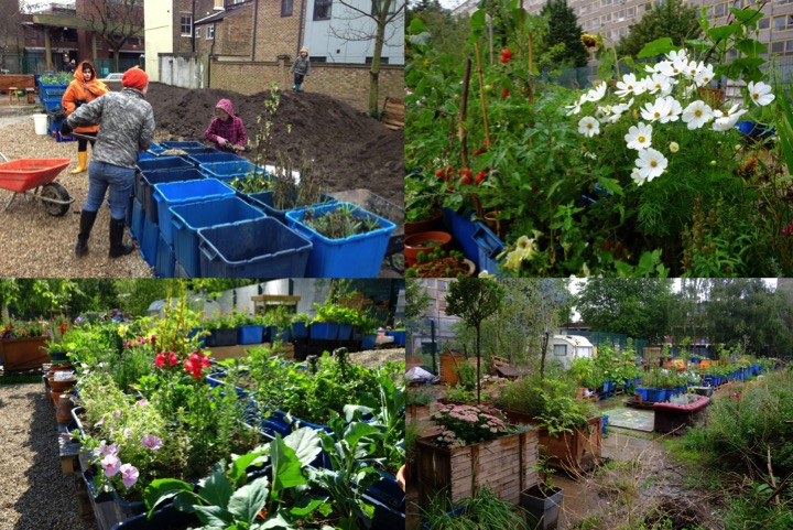 Mobile Gardeners 2