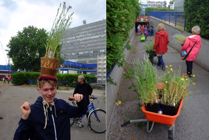 Mobile Meadow 1